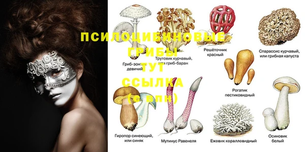 дурь Балабаново